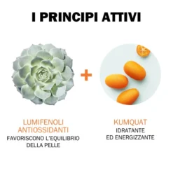 Jowae Jowaé Crema Maschera Viso Idratante Energizzante Rigenerante Notte 40 Ml 7 Jowae Jowaé Crema Maschera Viso Idratante Energizzante Rigenerante Notte 40 Ml -Ottimale Infermieristica Negozio 51384 5