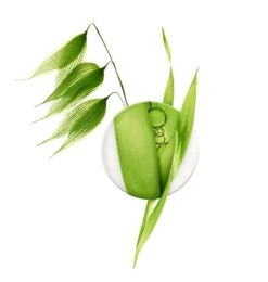 A Derma A-Derma BIOLOGY NUTRI Trattamento Dermatologico Nutritivo 40ml -Ottimale Infermieristica Negozio aderma a d biology tratt nutr 78486 1 3 1638870861