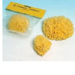 Spugna Naturale Mare Numero 7 Lusso 1 Pezzo