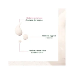 Rene Furterer Neopur Shampoo Antiforfora Secca 150ml -Ottimale Infermieristica Negozio l carnitine fit drink lime af972471965 1 4 1651065396