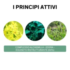 Lierac Phytolastil Fiale Correzione Smagliature 20 X 5 Ml -Ottimale Infermieristica Negozio lierac phytolastil favorisce la regressione delle smagliature 20 fiale 3 1608593724